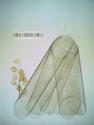 Annunciation (thumbnail)