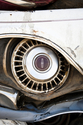 Owl (thumbnail)