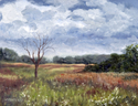 Wetlands Scene