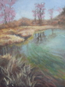 Pond-Early Spring