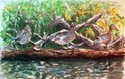 Ducks in a Row