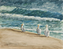 Pelicans