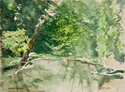 Blue Hole, Clifton Gorge print