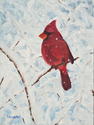 Cardinal In The Snow 