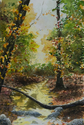 Indian Run Ravine print