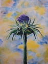 Thistle in the Morning