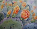 Desert Flower  - Prickly Pear