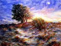 Desert Moon