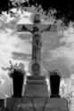 Photography-Jesus Saves Mexico
