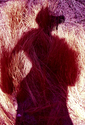 Photography--Color-FigurativeProud Wolf