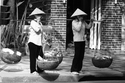 Photography-Basket Twins