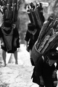 Photography-Wood Carriers
