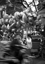 Photography-Motion