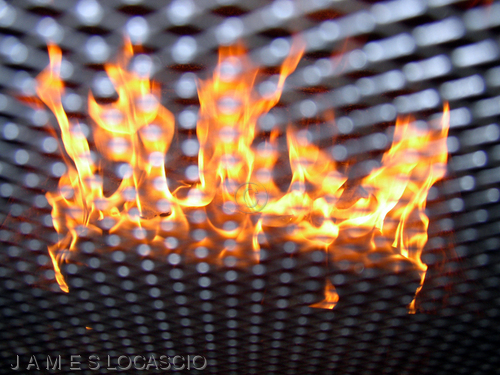 Photography-Fire Free