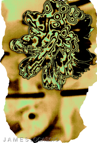 Photography-Flower Shirt