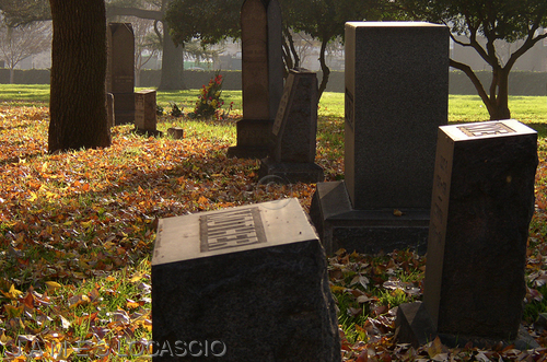 Photography-Grave Decision