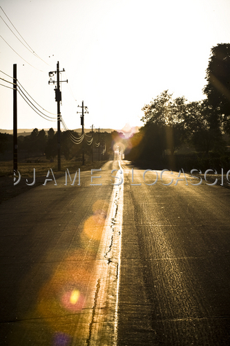 Photography-Old Winery Road-Santa Barbara, CA