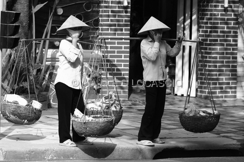 Photography-Basket Twins