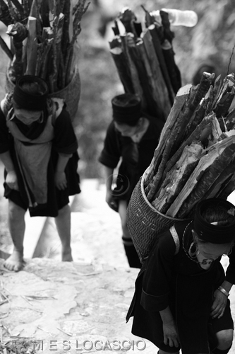 Photography-Wood Carriers