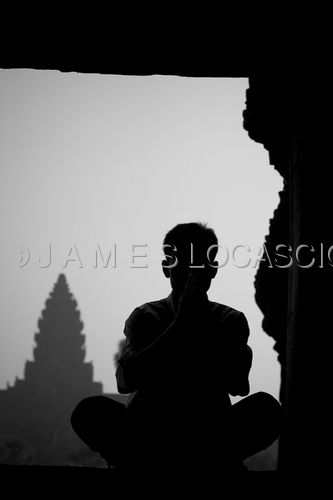 Photography-San