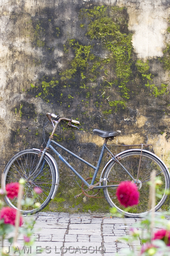 Photography-bicycle resting