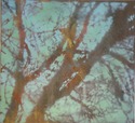 untitled (Tree 2)