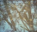 untitled (Tree 4)