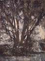 tree 6 nude