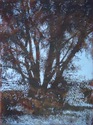 tree6  baby blue