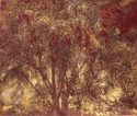 tree 7(gold)