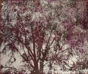 tree 7(white)