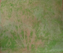 tree 7(green)