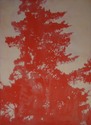 tree 8 (poppy)