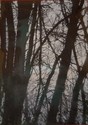 tree 9 (white)