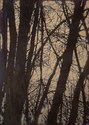 tree 9 (nude)