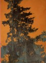 tree 8 (rust)