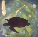 Blu Turtle