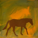 Brown Horse