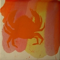 Orange Crab