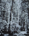 Devil's Lave, WI