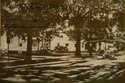 823 S. Buchanan