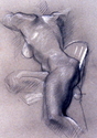 Studies, Charcoal on Paper