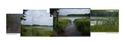 Jeane McGrail - Waterway Corridor