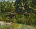 J. M. Croy - Buffalo at Shelby Farms