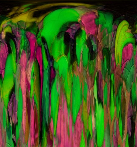Painting-Abstract-Bedazzled