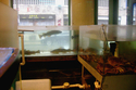 Photography-chinatown