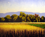 Wheat%20Field (thumbnail)