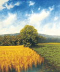 Wheatfield (thumbnail)