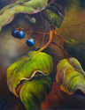 Salal No 5