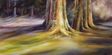 old growth cedar, oil painting, oil painting of cedar tree, cedar trees, cedar tree trunk, Joan Mostad, paintings by Joan Mostad, Terrace BC, Prince Rupert BC, red cedar, red cedar tree,  - Landscape Painting